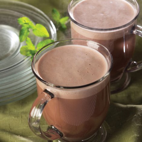 High Protein Mint Hot Chocolate (BEST BEFORE: 04-26)